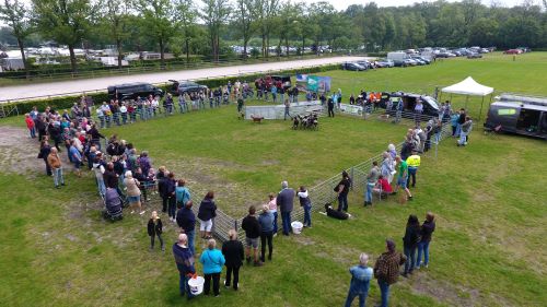 Honden ris-DagvanhetSchaap2024007 kleiner